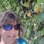 Gail Conway - @gailconway56 - Instagram