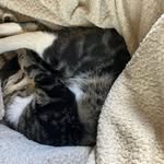 Gail Conway - @gail.conway.737 - Instagram