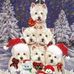 Gail Cooke - Facebook