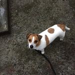 Gail Cooley - @gailcooley5 - Instagram