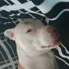 gail cooley - @gail.cooley53 - TikTok