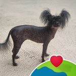 Brenda Corbett - @brendagailcorbett - Instagram