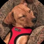 Gail Corley - @cmg13_03 - Instagram