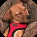 Gail Corley - Facebook