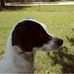 Gail Corley Bowen - Facebook