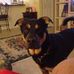Gail Corley Gaddy - Facebook
