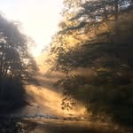 Gail Cornick - @gailcornick - Instagram