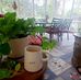 Gail Cornwell - Facebook