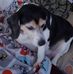 Gail Corriveau Hickland - Facebook