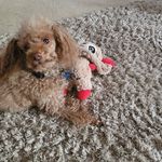 Gail Covington-Charles - @gailcharles1212 - Instagram