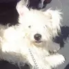 gailcoyne - @gailcoyne - TikTok