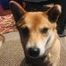 Gail Crabtree - Facebook