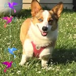 Gail Crain - @ralphie09.gg - Instagram