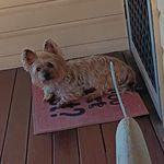 Gail Cramer - @gailcramer68 - Instagram