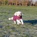 Gail Crook - Facebook