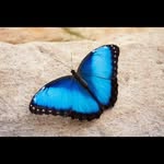 Gail Crouse - @crouse4963 - Instagram