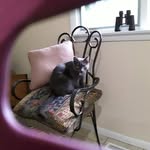 Gail Currie - @gail.currie.9083 - Instagram