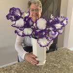 Gail Currie - @gail_currie7665 - Instagram