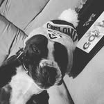Gail Tarrant Currie - @ggdory88 - Instagram