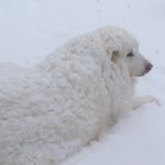 Gail Daigle - @daigle.gail58 - Instagram