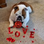 Gail Selph Daigle - @gld71865gmail.com_ - Instagram