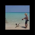 Gail D'Alton - @gaildalton60 - Instagram