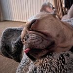 Gail Day - @gd102011 - Instagram