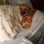 Gail Dean - @gail.dean.353 - Instagram