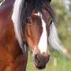 Gail Dean - @gail.dean60 - TikTok