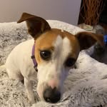 Gail Denney - @denney1662 - Instagram