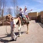 gail denning - @denninggail - Instagram