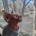 Gail Devlin - @gail.devlin3 - Instagram