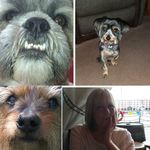 Gail - @gail_dexter_hettie - Instagram
