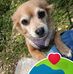 Gail Dicus - Facebook