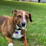 Gail Dill - @powell_to_dill - Instagram