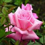 Gail Dillard - @dillard.gail - Instagram