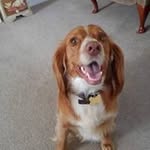 Gail Dilling - @gaildilling - Instagram