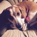 Gayle Hall Dillinger - Facebook