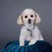 Gail Dobbs - Facebook