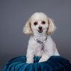 Gail Dobbs - @gail.dobbs - TikTok