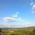 Gail Dobson - @gardener508 - Instagram