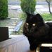 Gail Dodd - Facebook