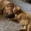 Gail Dodds - @gail.dodds - TikTok