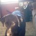 Gail Dodson - Facebook