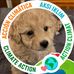 Gailyn Dober - Facebook