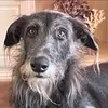 gaildolphin392 - @gaildolphin392 - TikTok