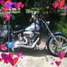 Gail Donner - Facebook
