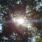 Gail Pardonner - @pardonnergail - Instagram