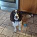 Gail Doran-Laughman - Facebook