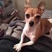 Gale Dougherty - Facebook